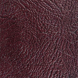 Antique Shiraz